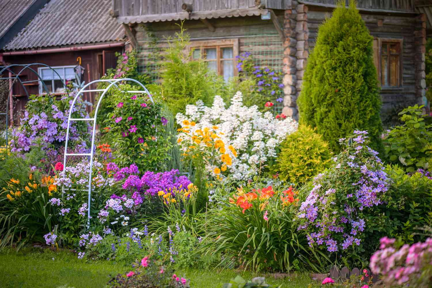 Transform Your Outdoor Space with These Innovative Garden Ideas