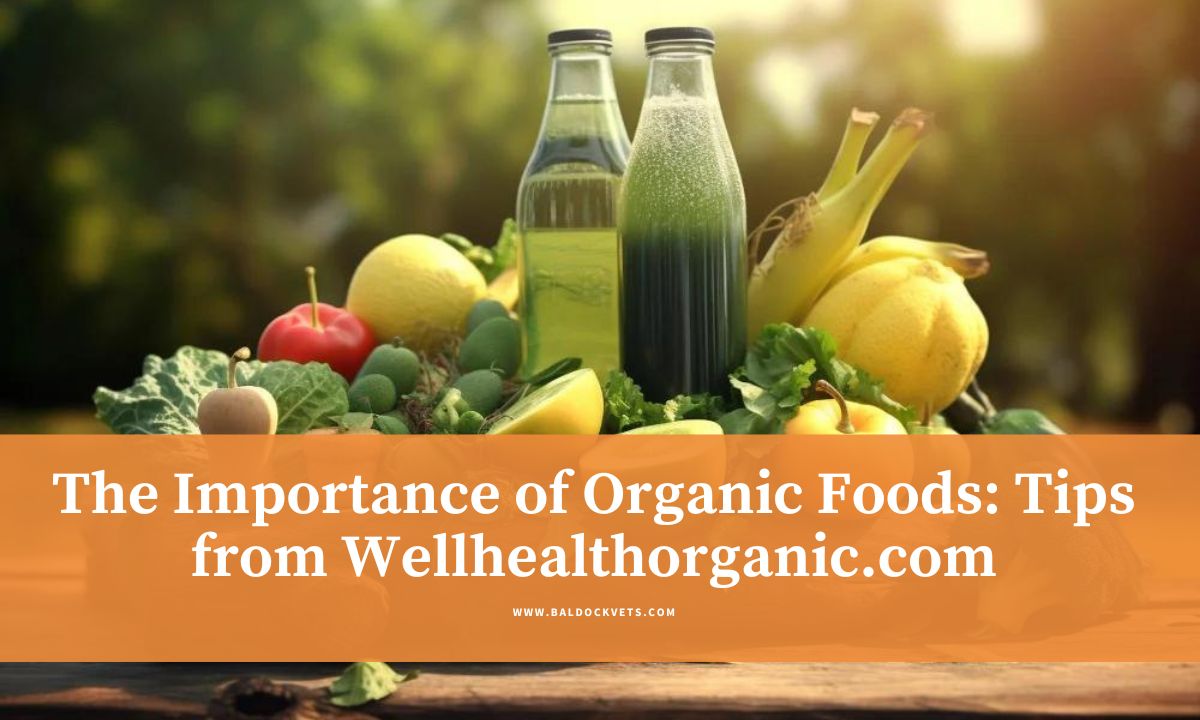 Understanding Wellhealthorganic.com : Key Signs of Gastroenteritis Key Signs, Causes, and Prevention Tips