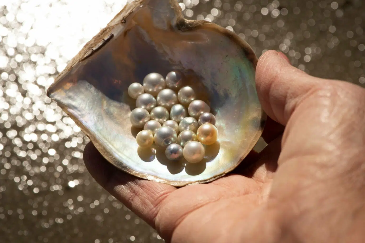 The Fascinating World of Pearl Source: Origins, Types, and Sustainability